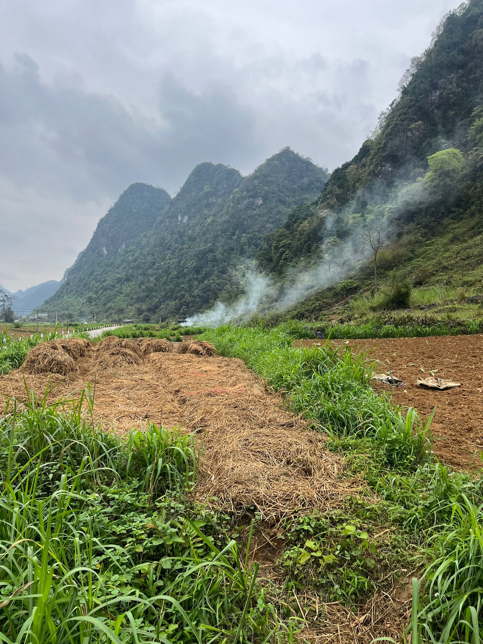 10-Day Ha Giang Loop & Hoang Su Phi Cycling Adventure